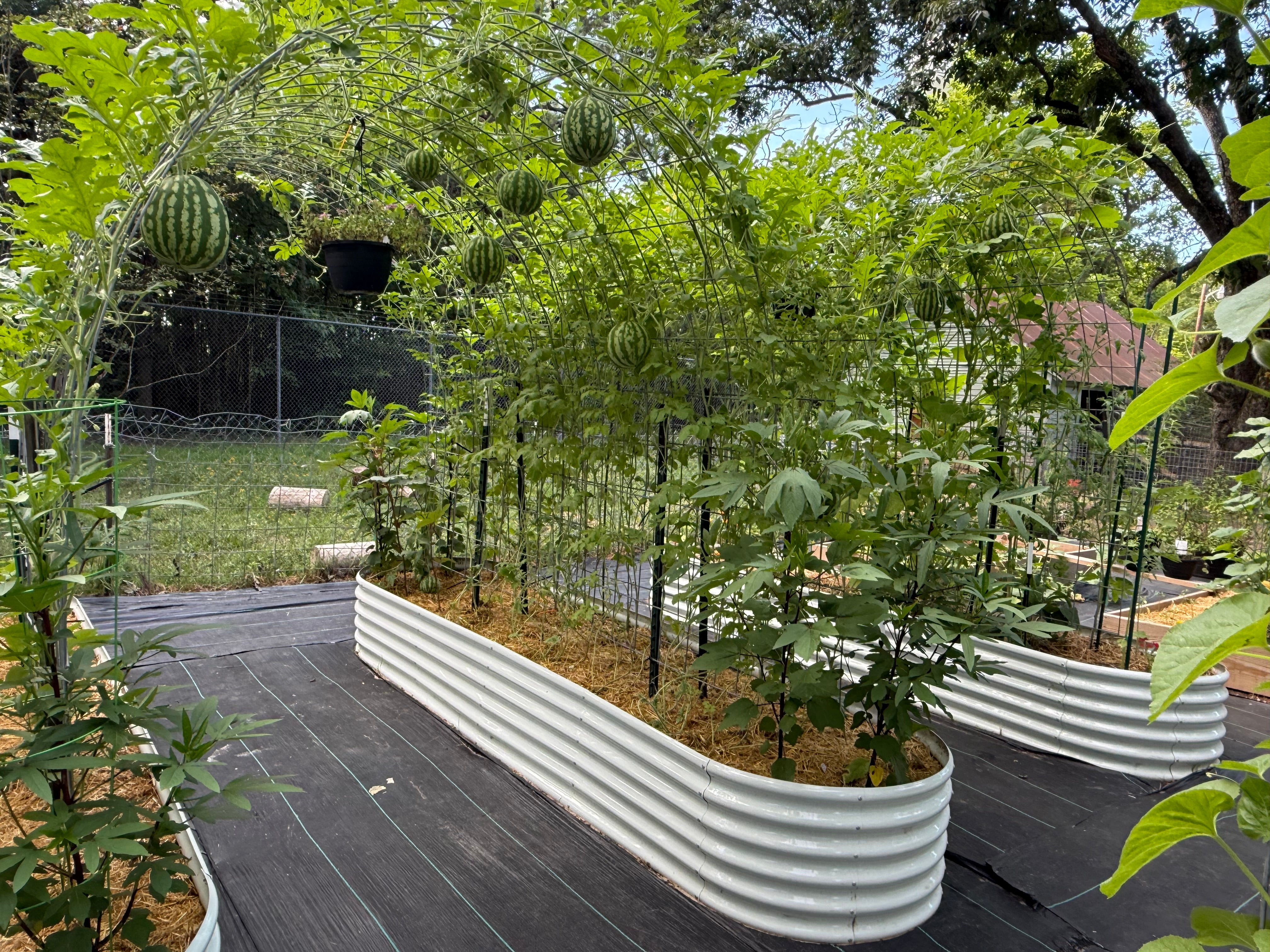 Set of 8: 12x3x1.5ft Oval Modular Metal Raised Garden Bed (Classic White)