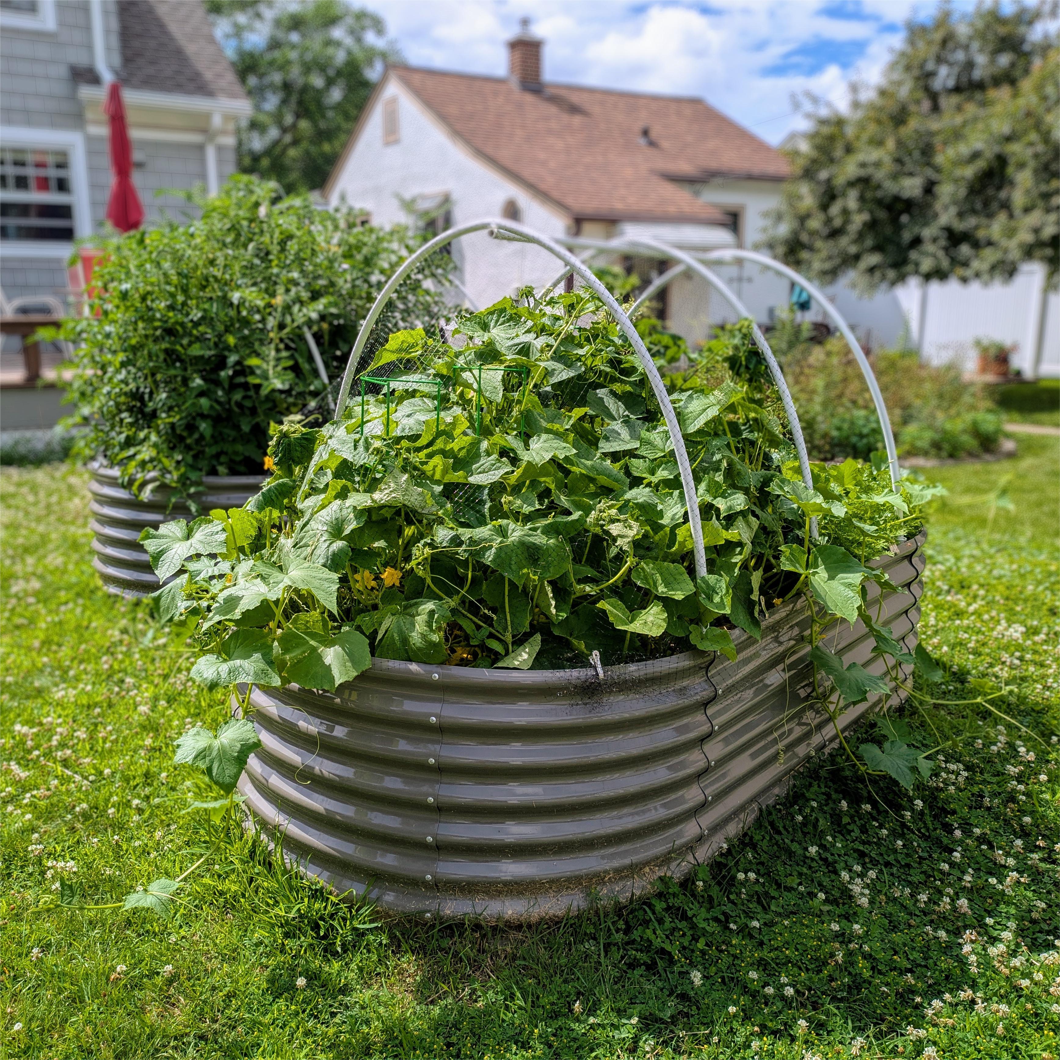 8x4x2ft  Oval Modular Sturdy Metal Raised Garden Bed Set (Quartz Gray)