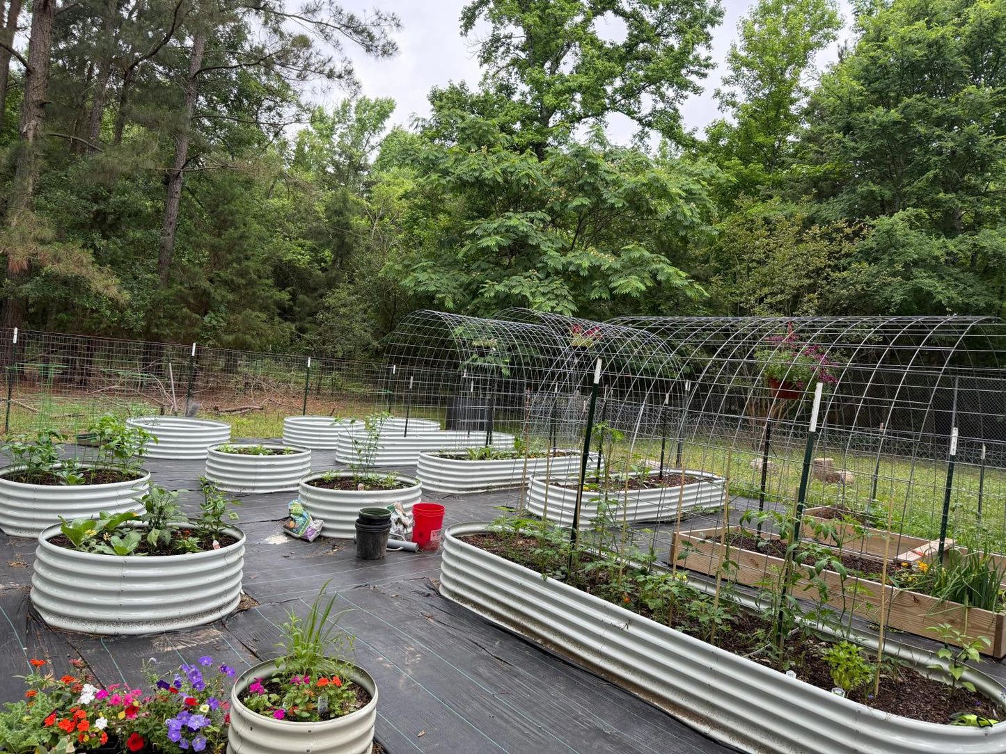 Set of 5: 12x3x1.5ft Oval and 4x1.5ft Round Modular Metal Raised Garden Beds