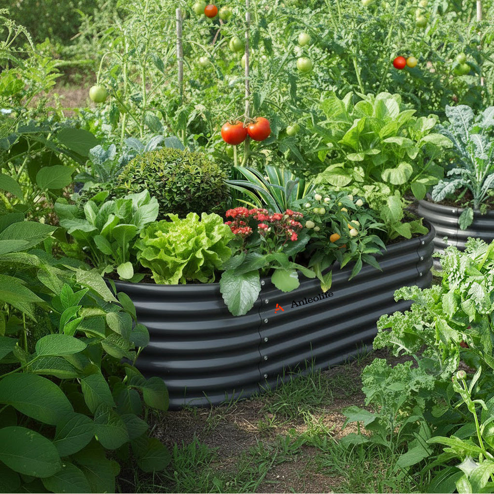 Garden gallery image