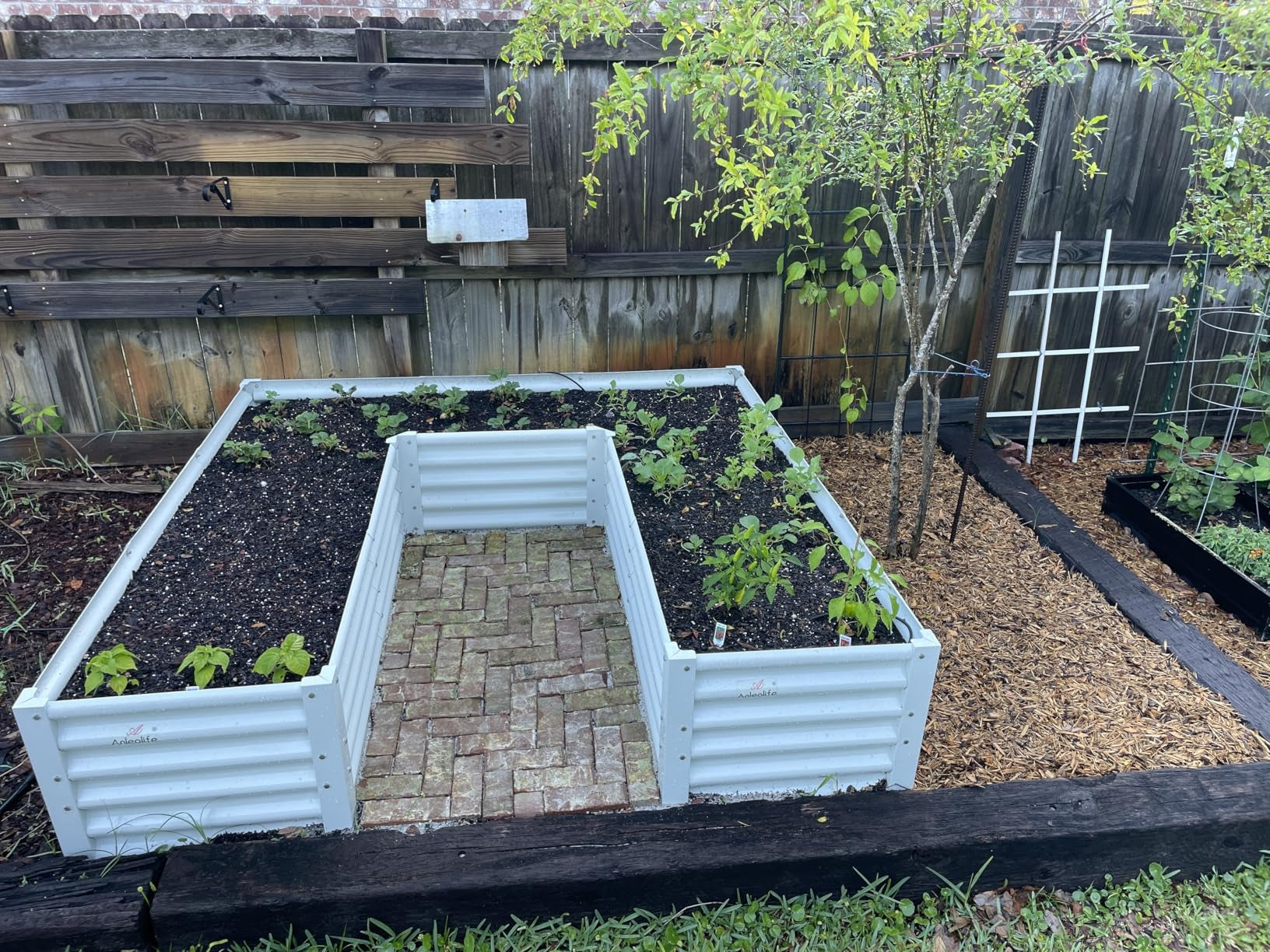 74''x74''x18'' U-shaped Galvanized Steel Raised Garden Bed - Classic White