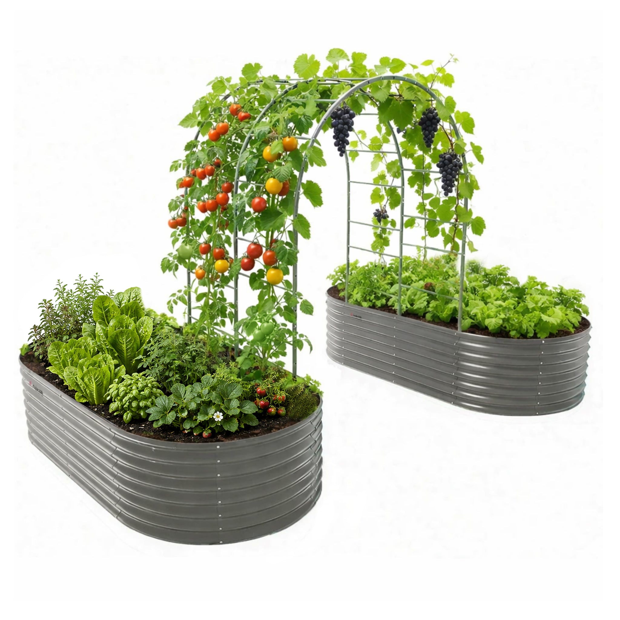24" Extra Tall 8×4 ft Raised Garden Bed Garden System, 2-Bed Kit with Arch Trellis for Climbing Plants