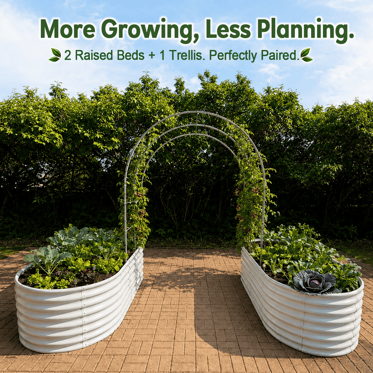 24" Extra Tall 8×4 ft Raised Garden Bed Garden System, 2-Bed Kit with Arch Trellis for Climbing Plants