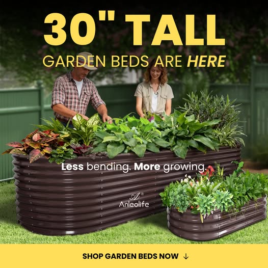 30'' Tall _10x3x2.5ft  Oval Modular Sturdy Metal Raised Garden Bed Set (Coffee Brown)
