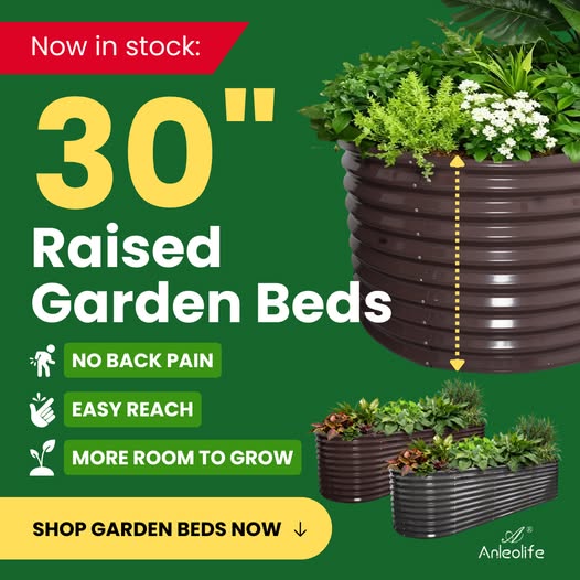 30'' Tall _10x3x2.5ft  Oval Modular Sturdy Metal Raised Garden Bed Set (Coffee Brown)