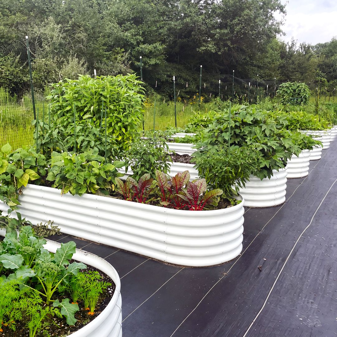 12x3x1.5ft Oval Modular Metal Raised Garden Bed Set (Classic White/Quartz Gray)