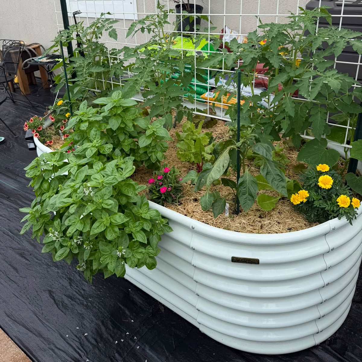 
Set of 6: 8x4x2ft Oval Modular Metal Raised Garden Beds (Antique White)
