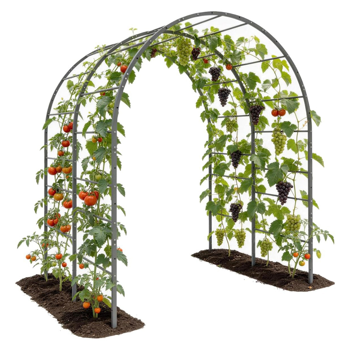 6ft-tall garden arch trellis, suitable for raised flower beds—sturdy metal tunnel-style trellis
