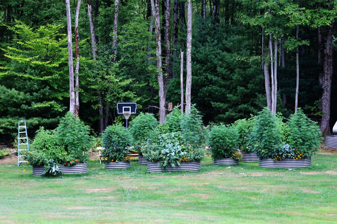 Garden Bed Layouts