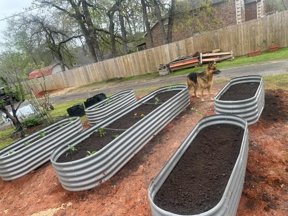 Set of 5: 12x3x1.5ft & 6x2x1.5ft  Oval Metal Raised Garden Bed (Quartz Gray/Classic White)