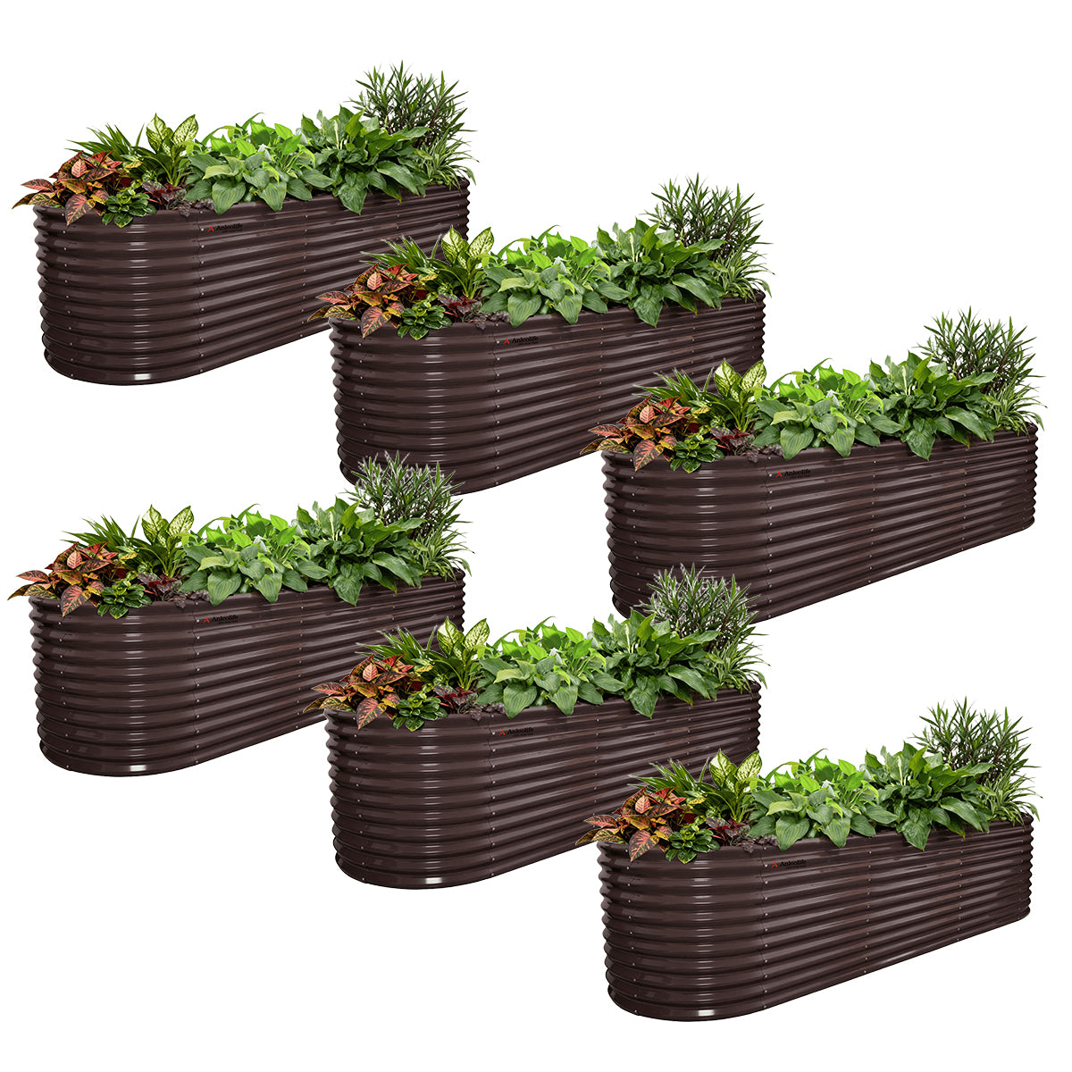 Set of 6: 10'x3'x30''-Tall  Oval Modular Sturdy Metal Raised Garden Bed Set (Coffee Brown)