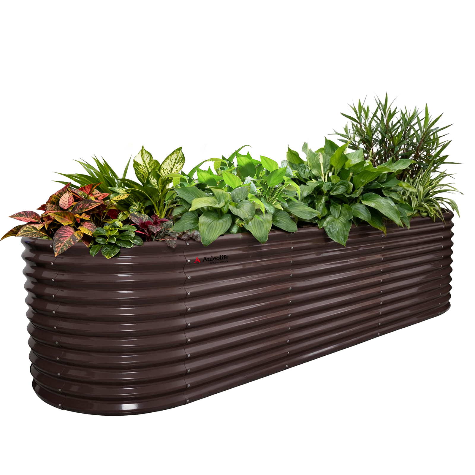 Set of 6: 10'x3'x30''-Tall  Oval Modular Sturdy Metal Raised Garden Bed Set (Coffee Brown)
