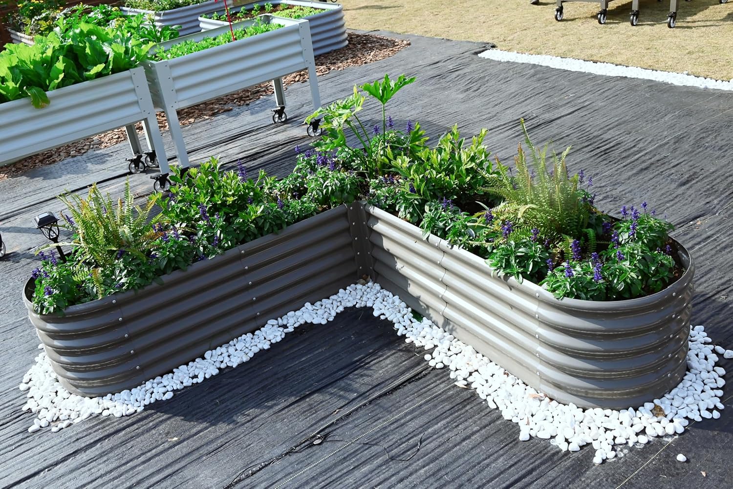18" Tall Set of 6 Raised Garden Beds, Curated Garden Layout for Beginners