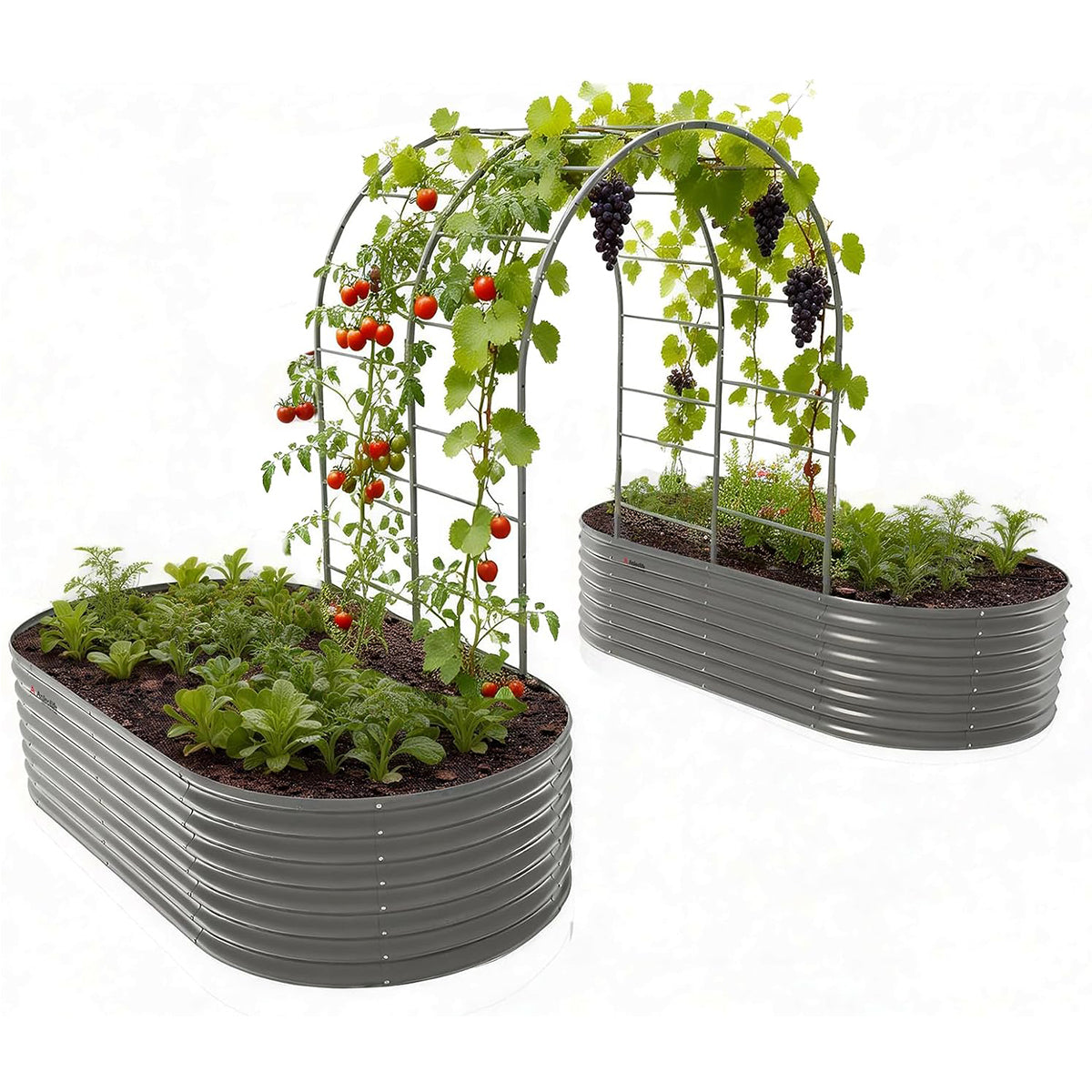 Garden Arch Trellis for Raised Beds – Heavy Duty Metal Tunnel Trellis