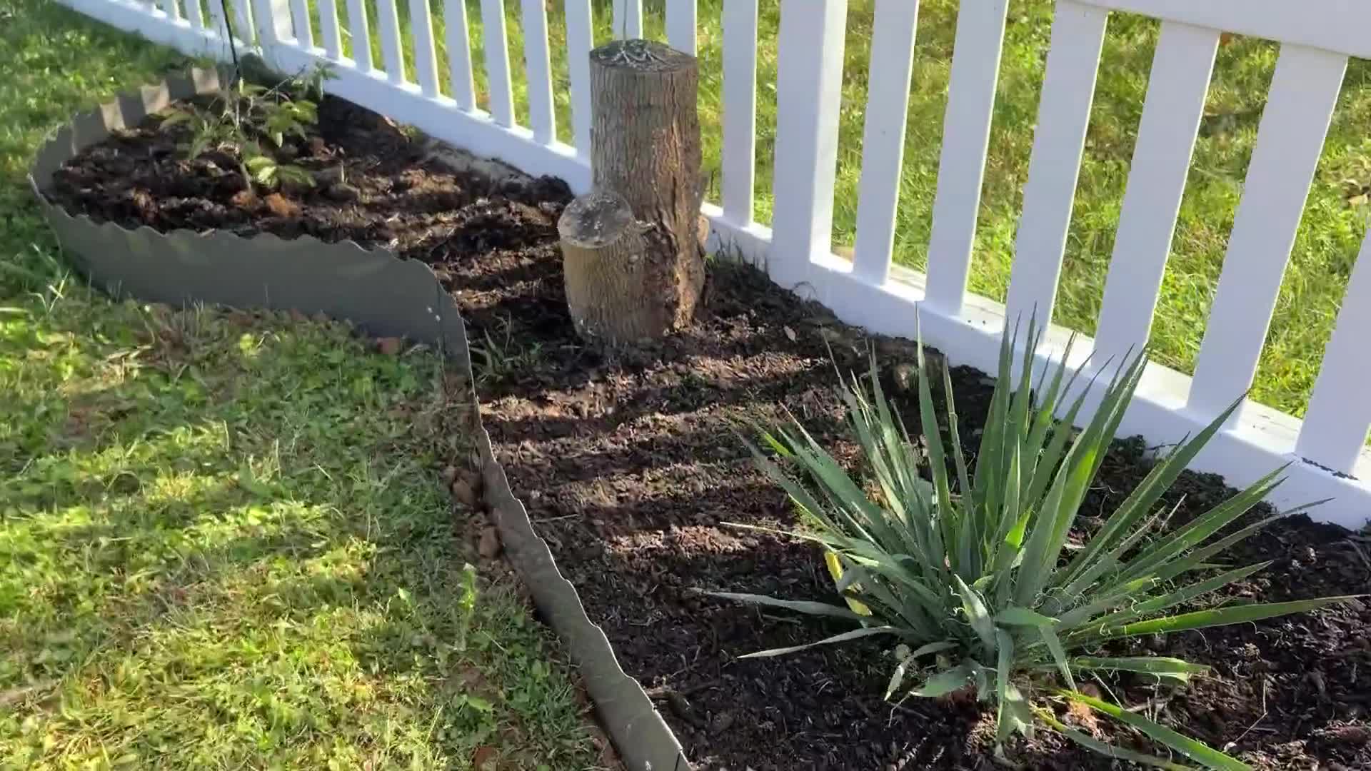 Wavy Edge Galvanized Steel Garden Edging, 6" or 8" Tall, 20 FT (6 x 40")
