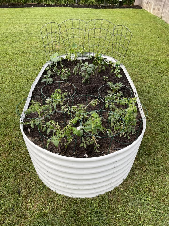 Set of 8: 8x4x2ft Oval Modular Metal Raised Garden Beds (Quartz Gray/Classic White)