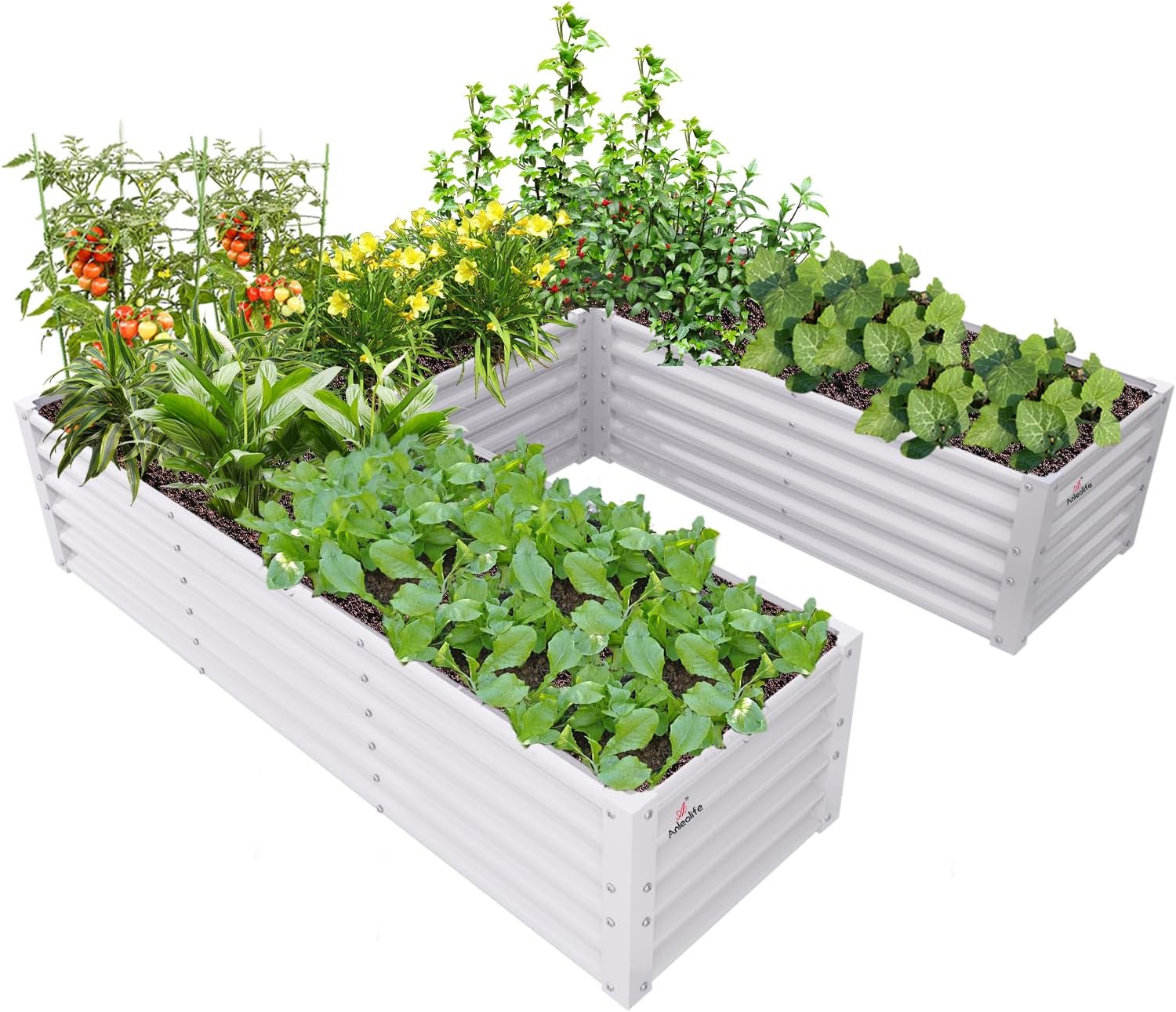 74''x74''x18'' U-shaped Galvanized Steel Raised Garden Bed - Classic White
