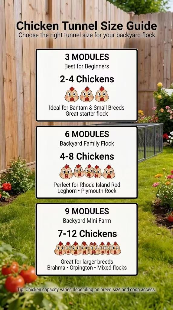 Heavy Duty Metal Chicken Tunnel Predator-Proof Run for Poultry & Small Pets