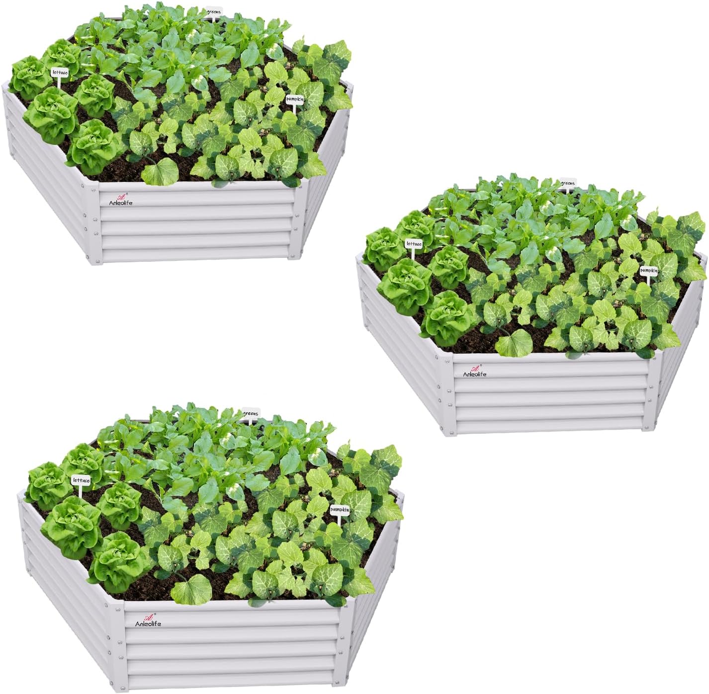 70''x60''x18'' Hexagon Galvanized Steel Raised Garden Bed - Classic White
