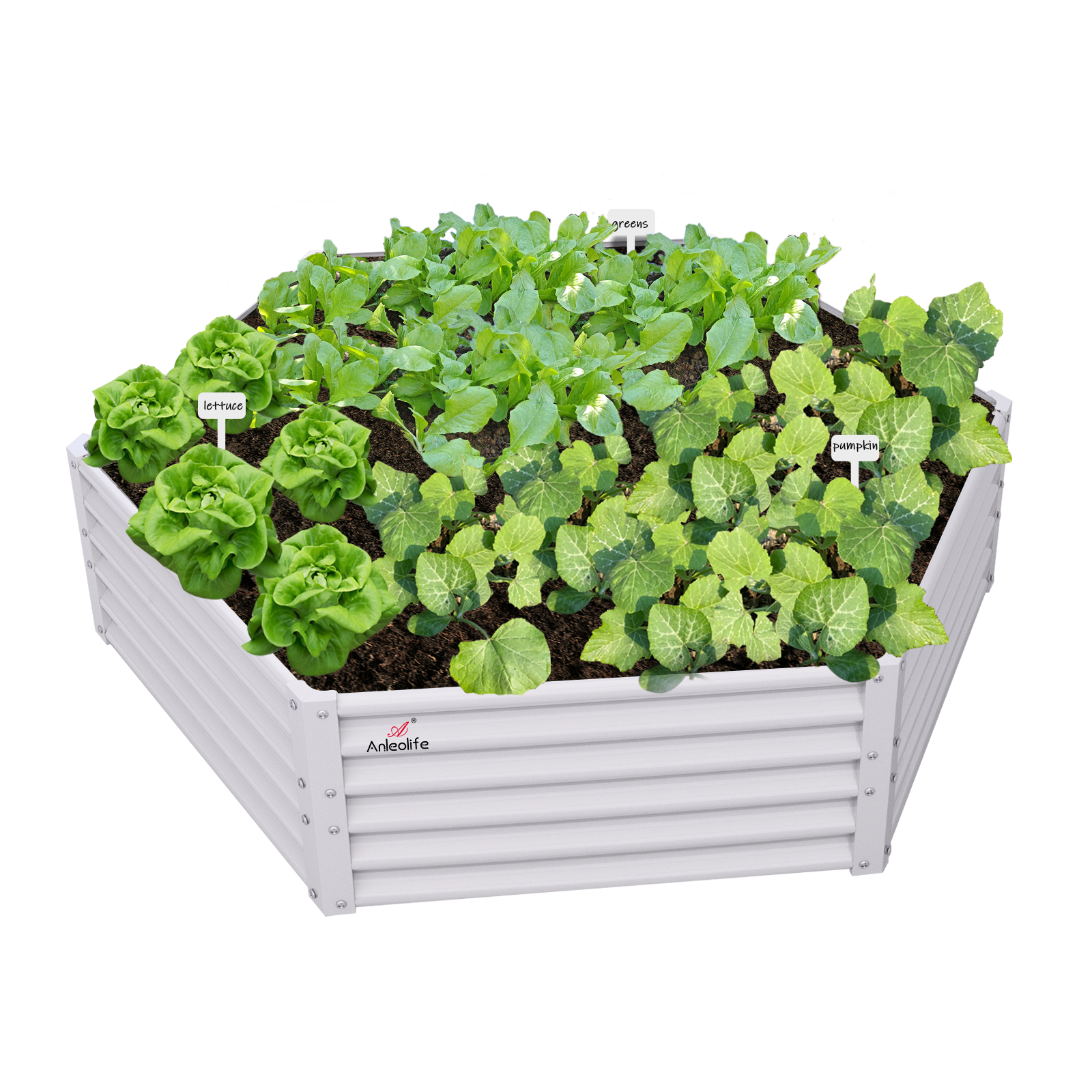 70''x60''x18'' Hexagon Galvanized Steel Raised Garden Bed - Classic White