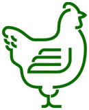 Chicken icon