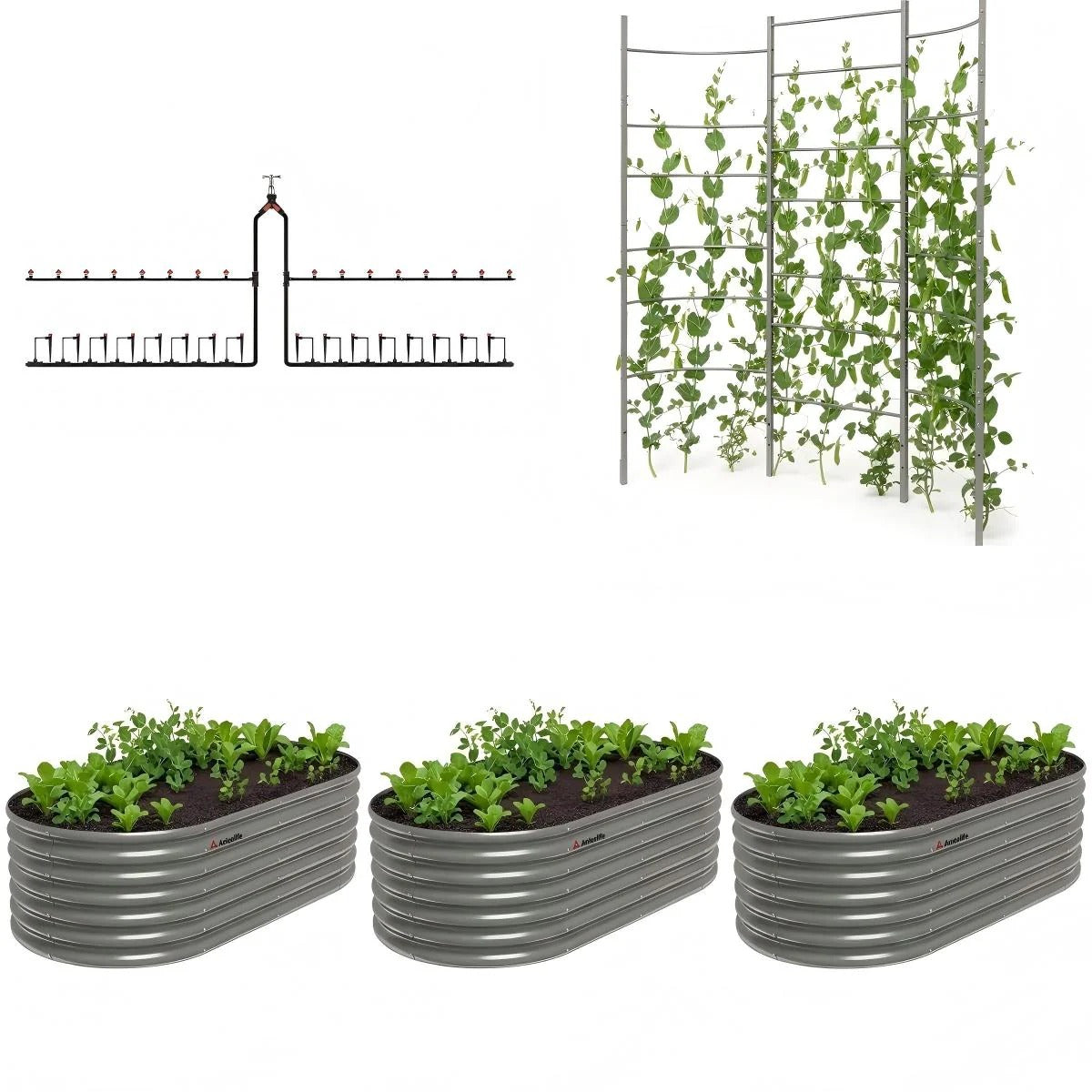 8×4 ft Raised Garden Bed Garden System, 3-Bed Set with Arch Trellis for Climbing Plants
