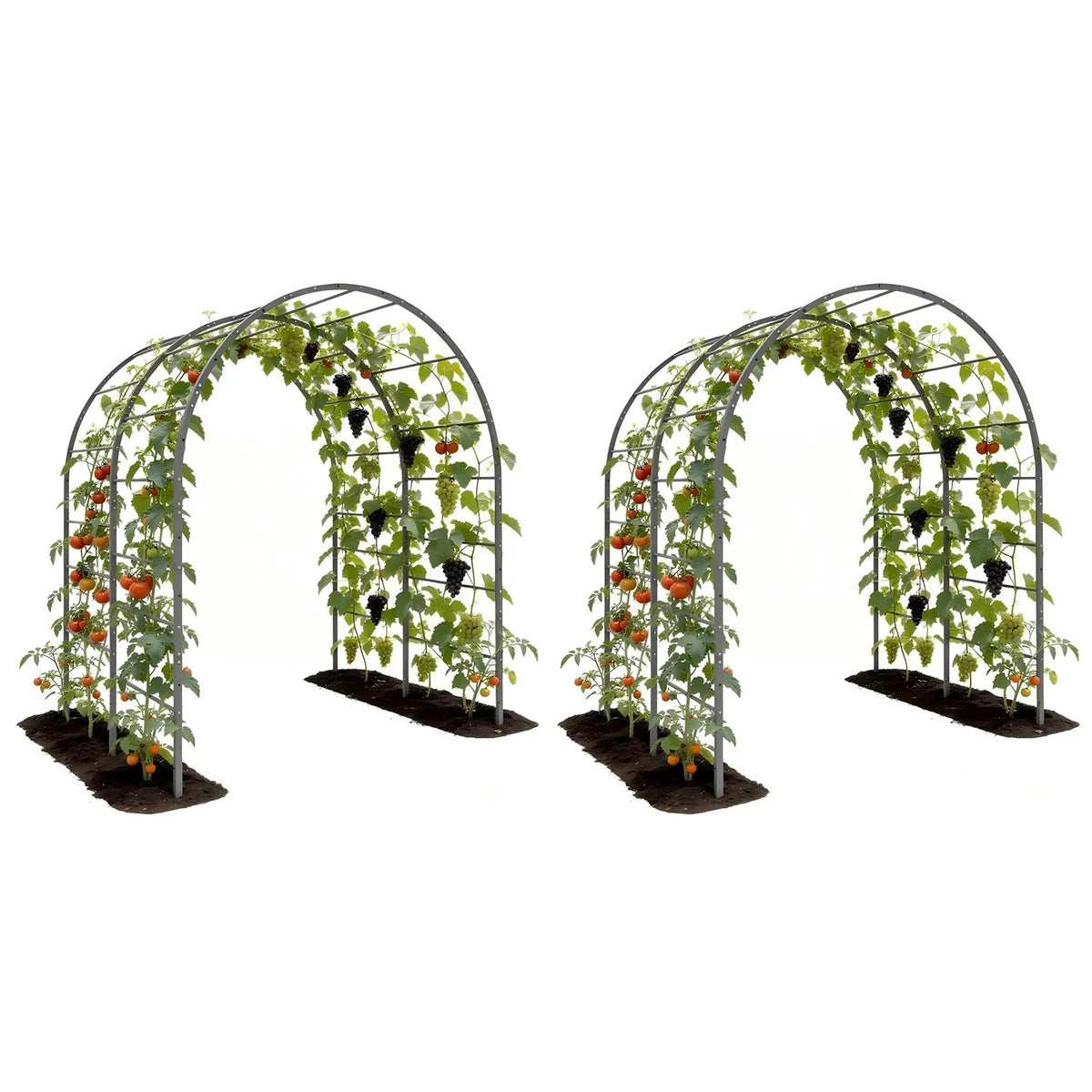 
6 ft Tall garden arch trellis for raised garden beds, featuring a sturdy metal tunnel-style design.