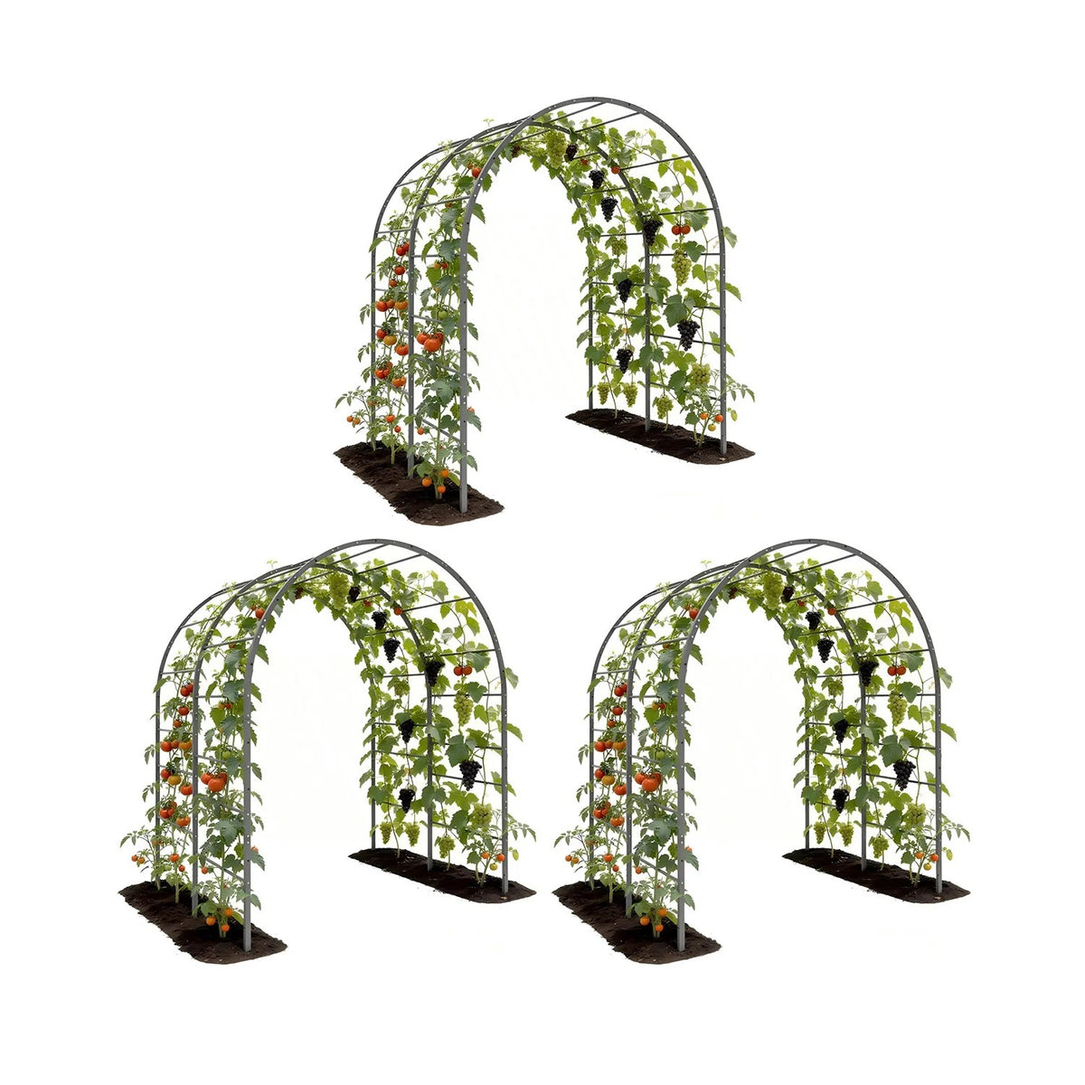 
6 ft Tall garden arch trellis for raised garden beds, featuring a sturdy metal tunnel-style design.
