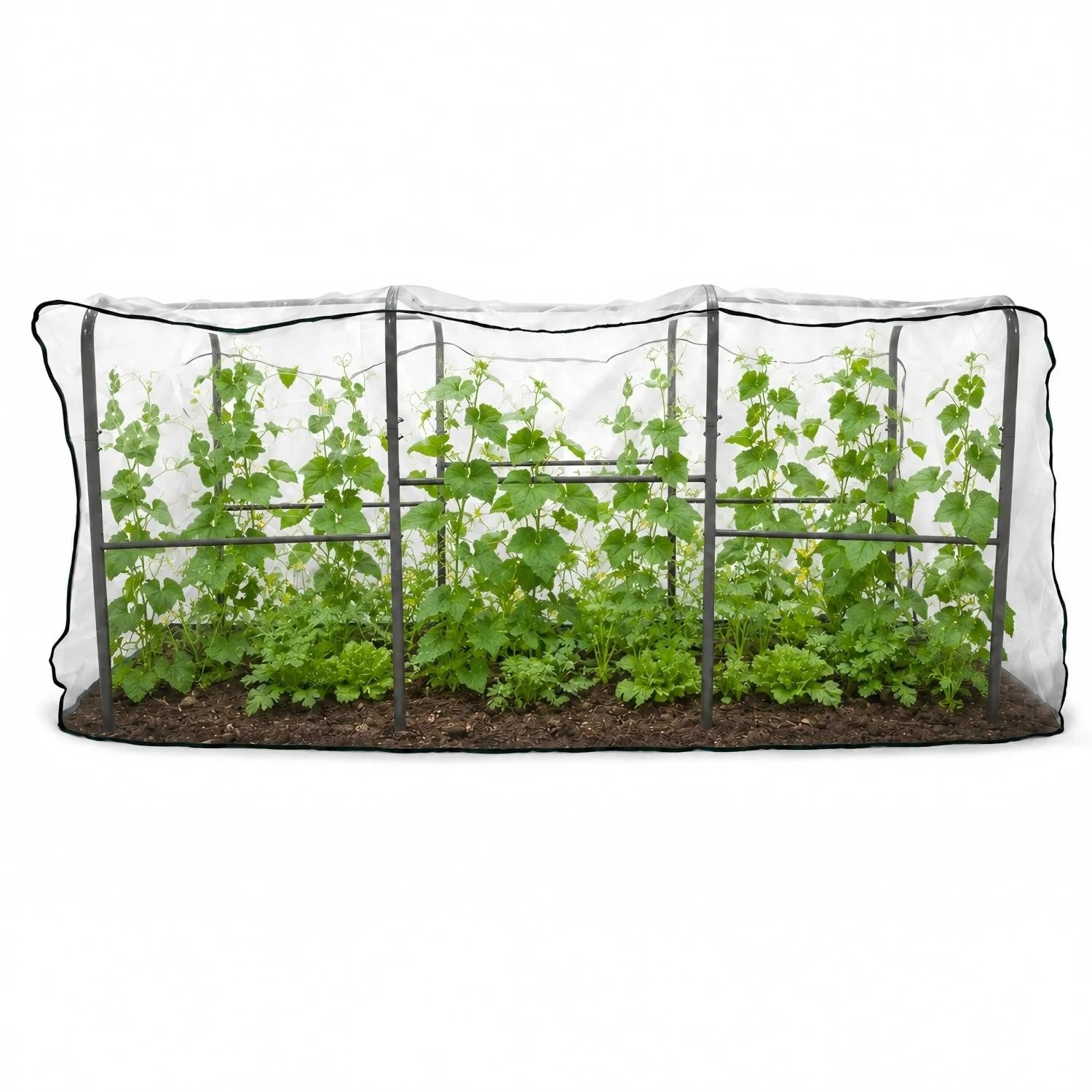 6.0×3.1×2.8 FT Garden Tunnel Trellis with Mesh Net Cover for Pest Control