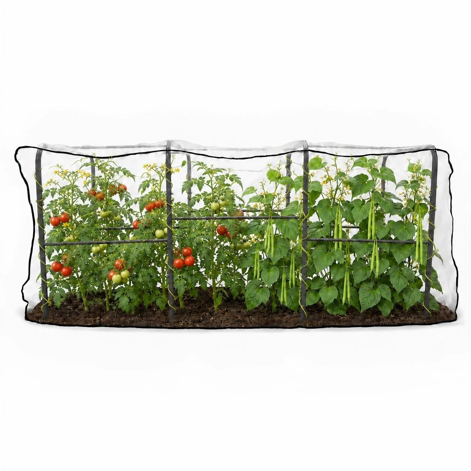 6.0×3.1×2.8 FT Garden Tunnel Trellis with Mesh Net Cover for Pest Control