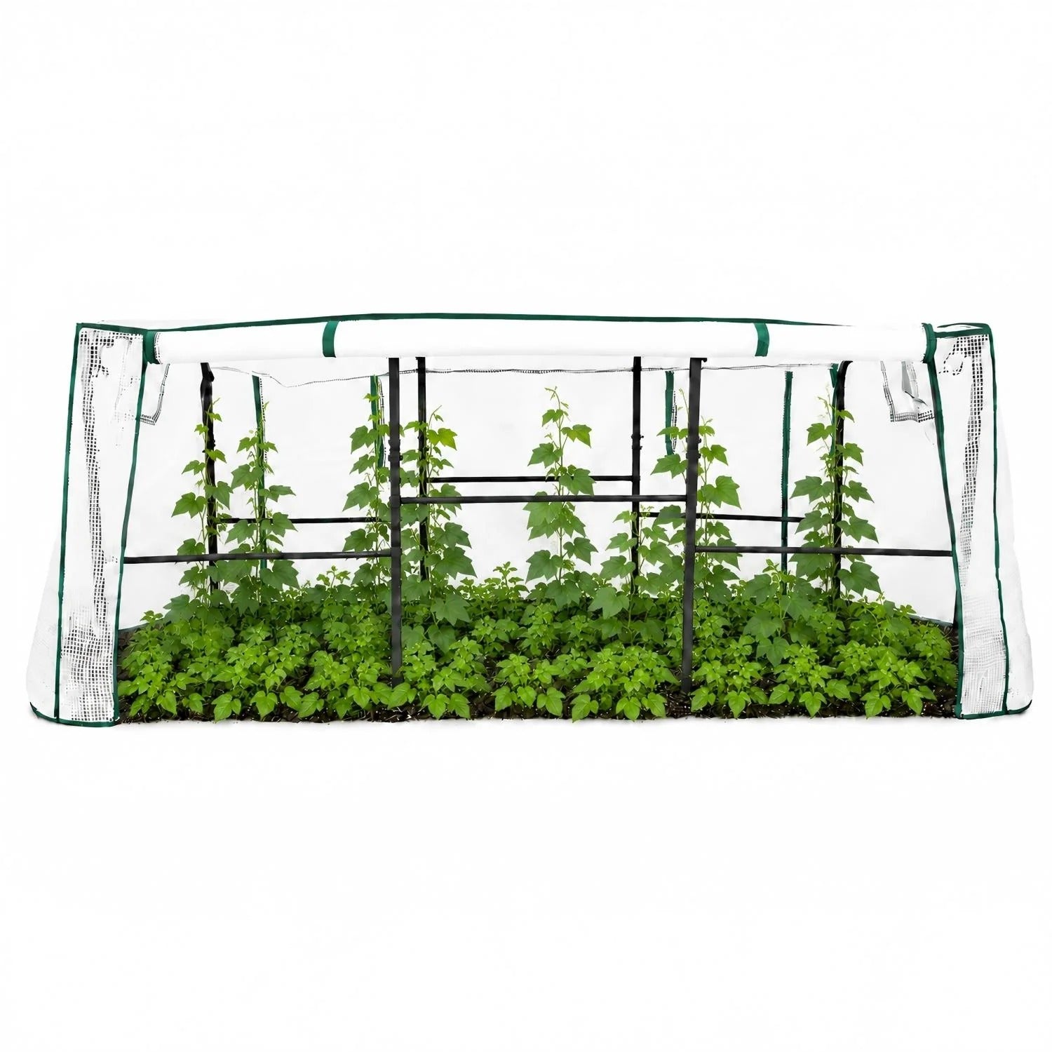 6.0×3.1×2.8 FT Garden Tunnel Trellis with Waterproof PE Net Cover