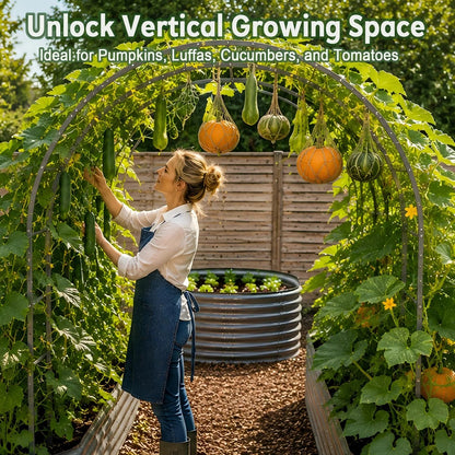 6ft-tall garden arch trellis, suitable for raised flower beds—sturdy metal tunnel-style trellis