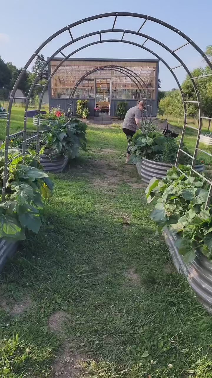 6ft-tall garden arch trellis, suitable for raised flower beds—sturdy metal tunnel-style trellis