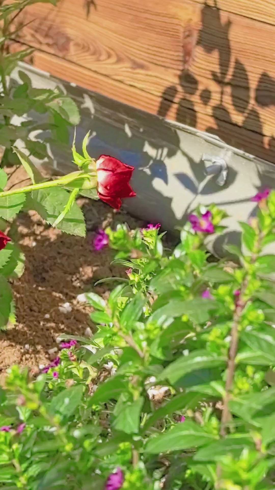 18'' Tall DIY Modular Garden Bed Panels,  22-Gauge Galvanized Steel, 4-Pack