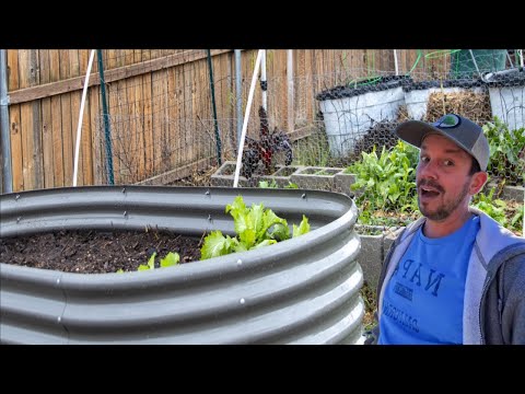 8x4x2ft  Oval Modular Sturdy Metal Raised Garden Bed Set (Quartz Gray)