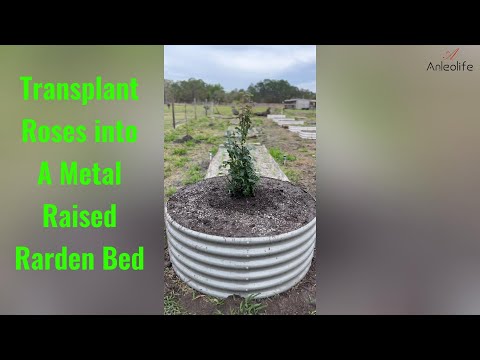 Set of 4: 48"x48"x18" Round Metal Raised Garden Beds (Classic White/Quartz Gray)