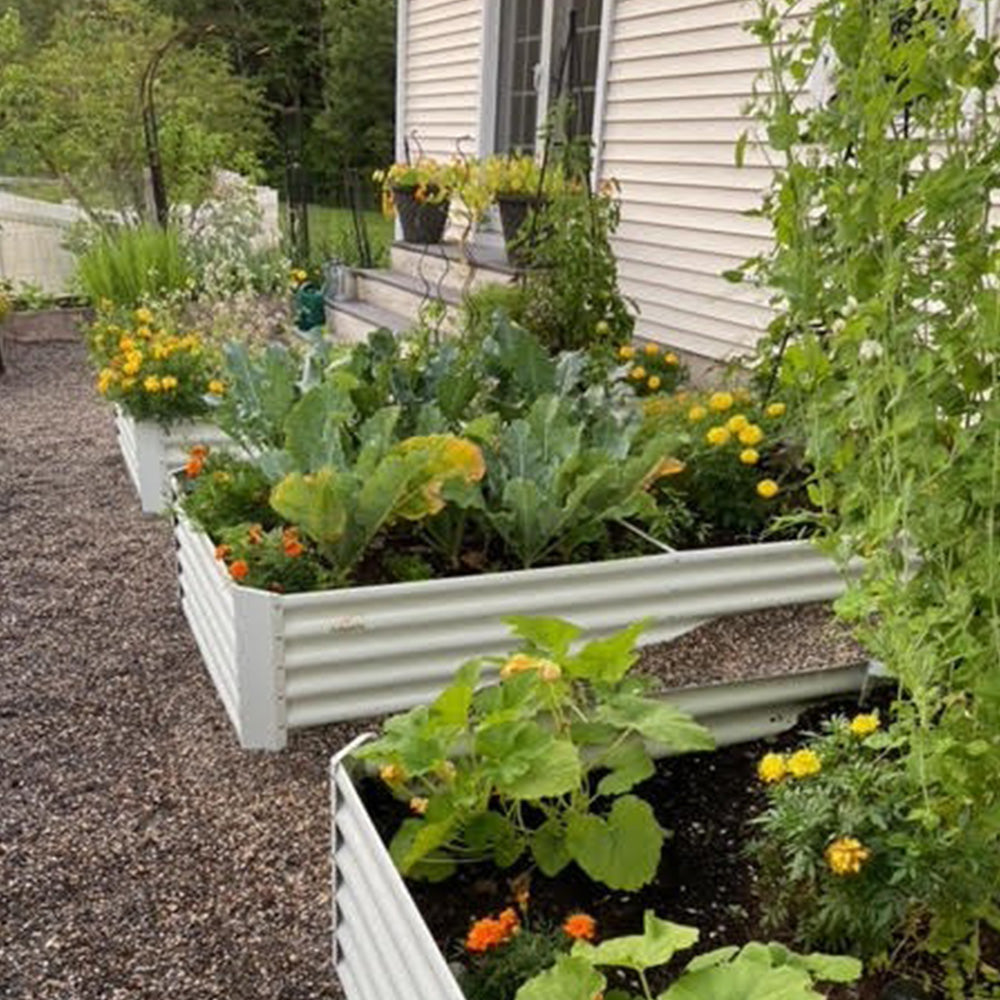 Garden gallery image