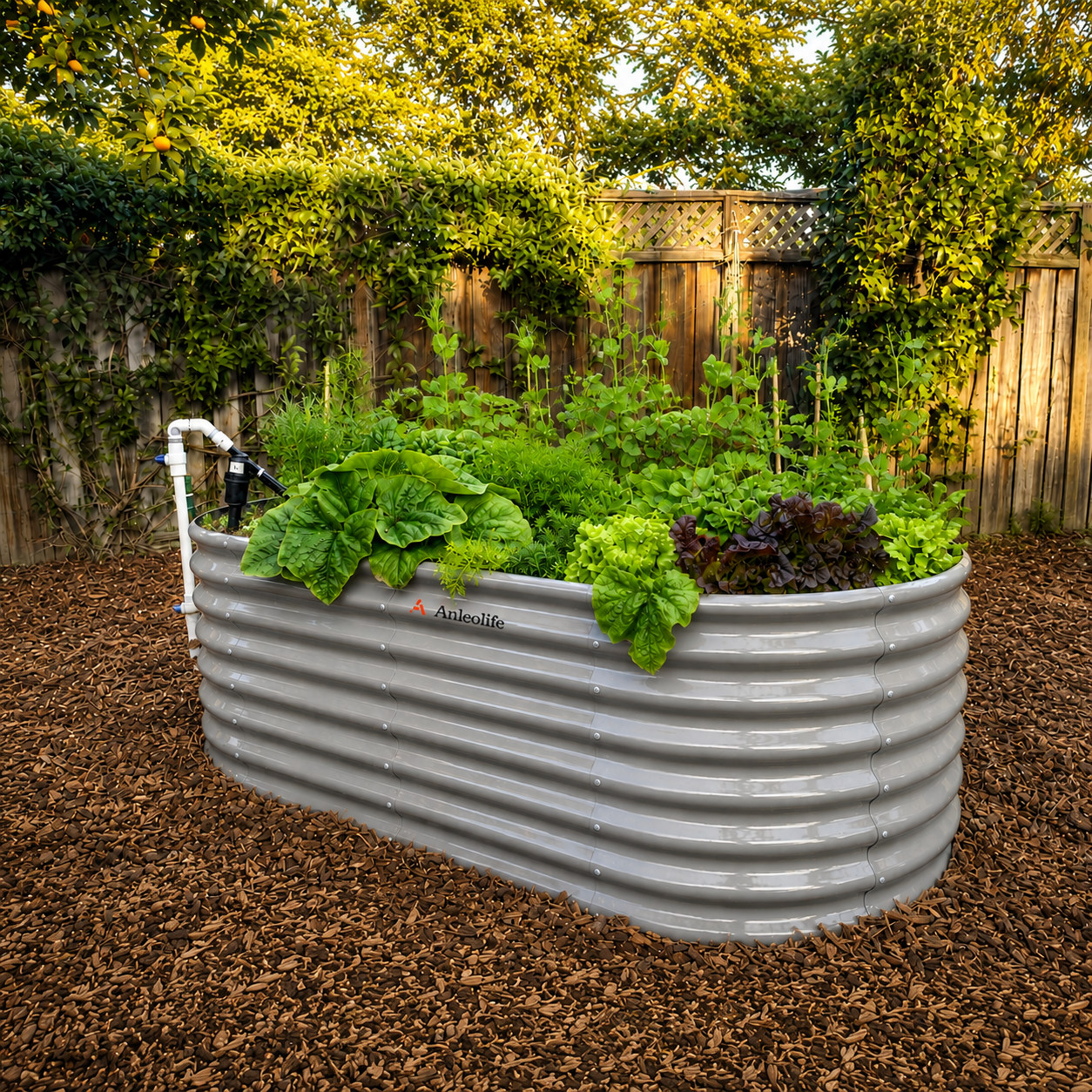Garden Beds