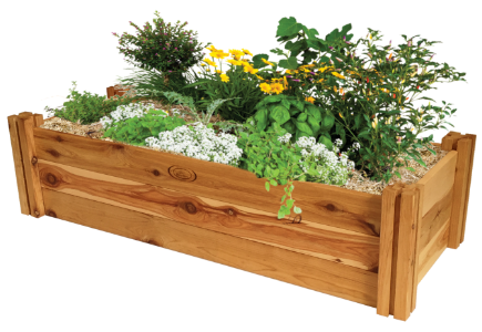 raised garden bed