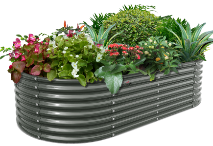 raised planter boxes