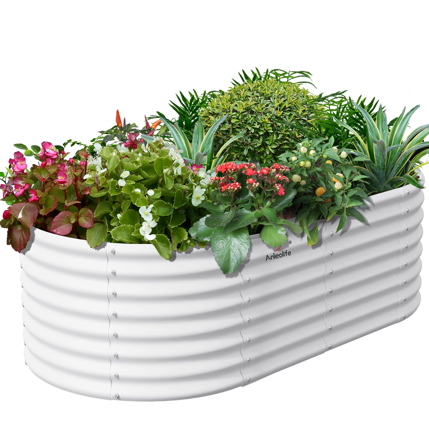 6x3x2ft Oval Metal Raised Modular Garden Bed Set (White)
